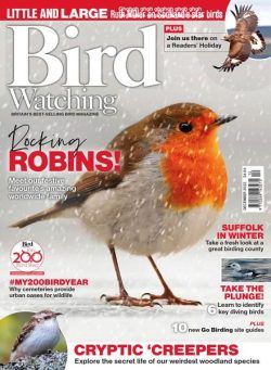 Bird Watching UK – December 2022