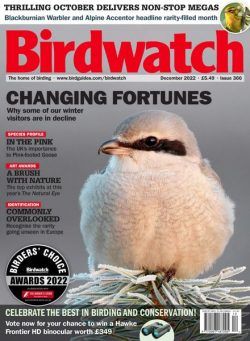 Birdwatch UK – December 2022