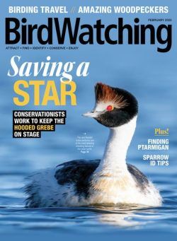 BirdWatching USA – January-February 2023