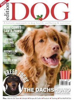 Edition Dog – Issue 50 – November 2022