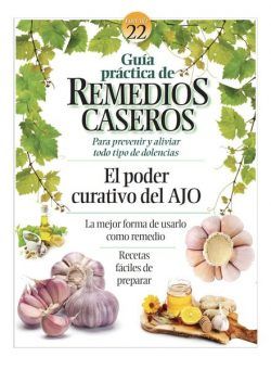 Remedios Caseros – diciembre 2022