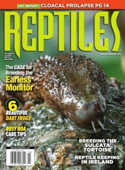 Reptiles – January 2023