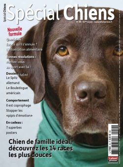 Special Chiens – 01 decembre 2022