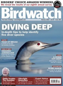 Birdwatch UK – February 2023