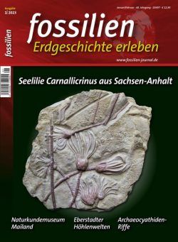 FOSSILIEN – Erdgeschichte erleben – Januar 2023