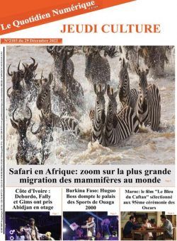 Quotidien Numerique d’Afrique – 29 decembre 2022