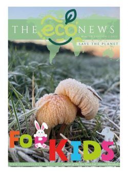 The Eco News For Kids – December 2022