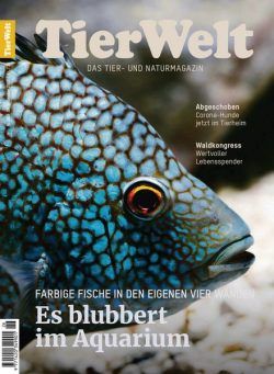 TierWelt – 31 Dezember 2022