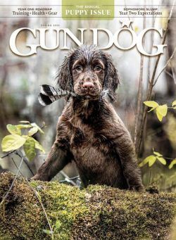 Gun Dog – March 2023