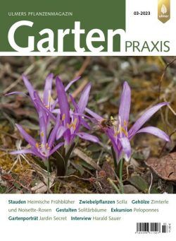 Gartenpraxis – Marz 2023