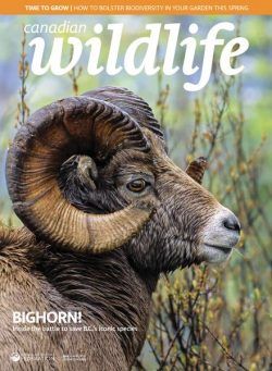 Canadian Wildlife – March-April 2023