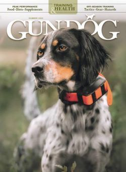 Gun Dog – June 2023