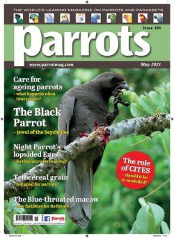 Parrots – May 2023