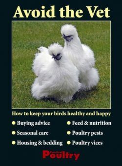 Avoid the Vet – April 2011