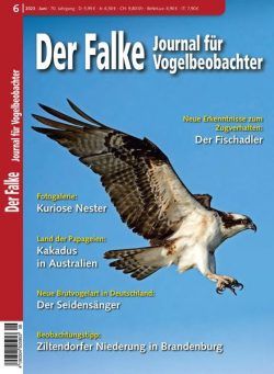 Der Falke Journal fur Vogelbeobachter – Juni 2023