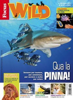 Focus Wild – luglio 2023