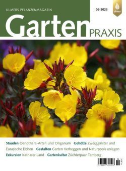 Gartenpraxis – Juni 2023