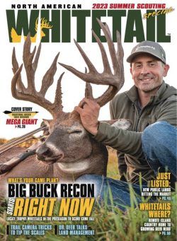 North American Whitetail – June 2023