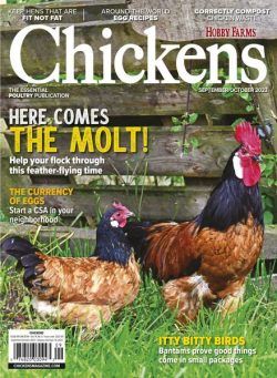 Chickens – September-October 2023