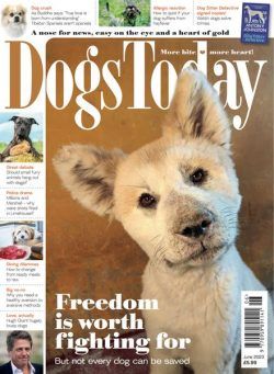 Dogs Today UK – June 2023