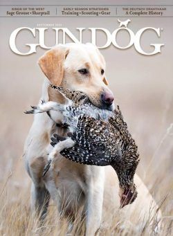 Gun Dog – September 2023