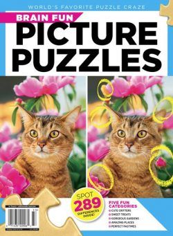 Picture Puzzles – July 2023