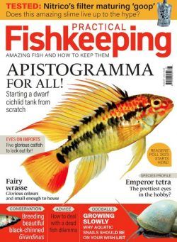 Practical Fishkeeping – August 2023