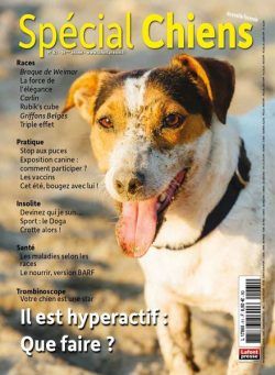 Special Chiens – 01 juin 2023