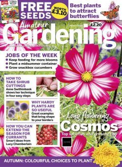 Amateur Gardening – 29 July 2023