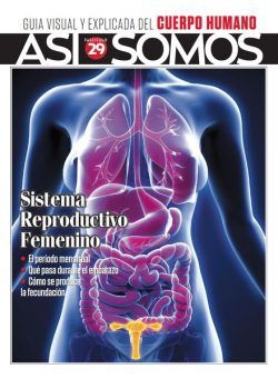 Asi Somos – El cuerpo humano – Agosto 2023