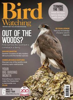 Bird Watching UK – September 2023