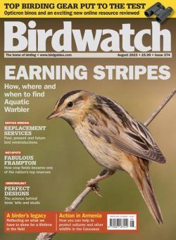 Birdwatch UK – August 2023