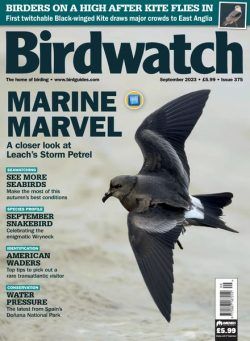 Birdwatch UK – Issue 375 – September 2023