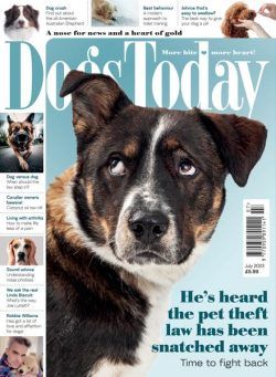 Dogs Today UK – July 2023