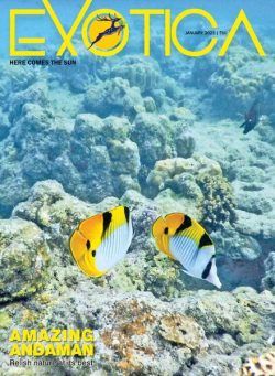 Exotica Magazine – January 2023