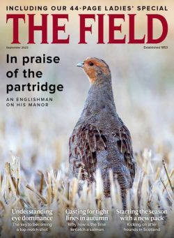 The Field – September 2023