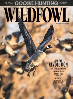 Wildfowl – September 2023