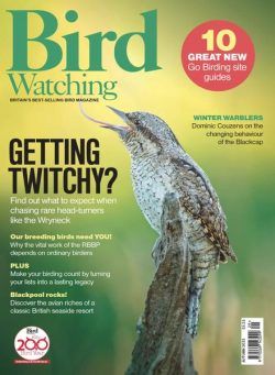 Bird Watching UK – Autumn 2023