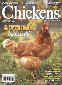 Chickens – November-December 2023