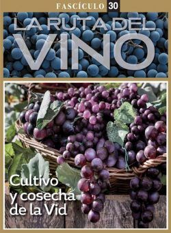 La ruta del Vino – Agosto 2023