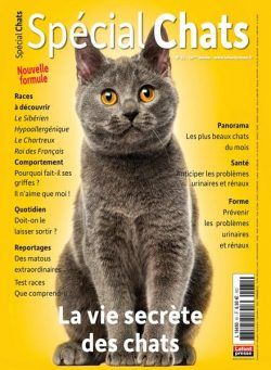 Special Chats – Octobre-Decembre 2023