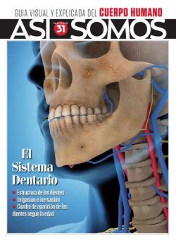 Asi Somos El cuerpo humano – 24 Octubre 2023