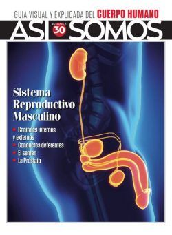 Asi Somos El cuerpo humano – 6 Octubre 2023