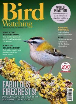 Bird Watching UK – October 2023