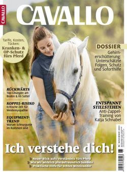 Cavallo – November 2023