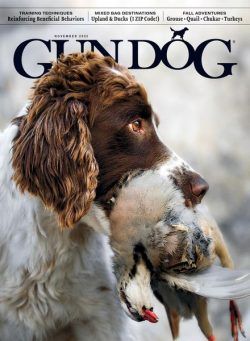 Gun Dog – November 2023