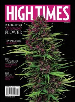 High Times – November 2023