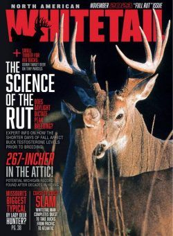 North American Whitetail – November 2023