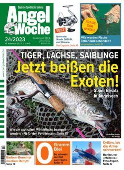 Angel Woche – 10 November 2023