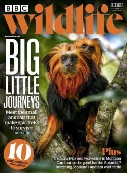 BBC Wildlife – December 2023